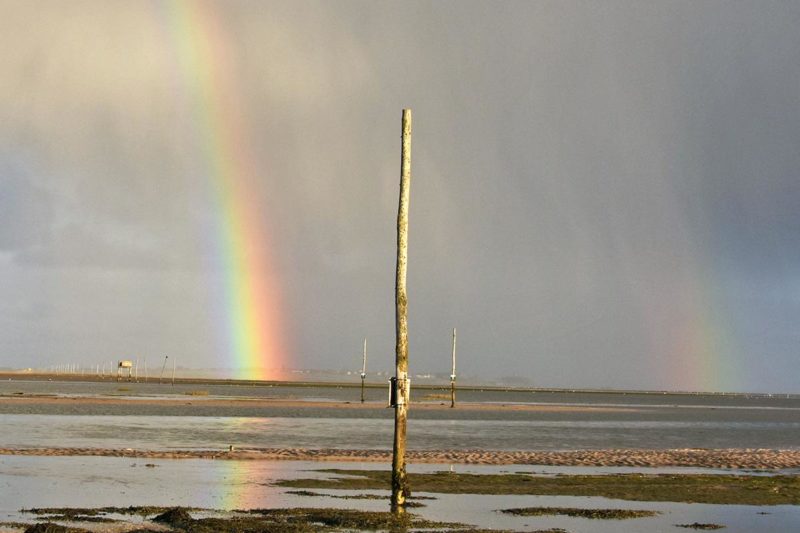 No pots at the end of the rainbow ... what does the future hold for Holy Island